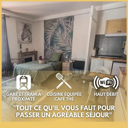 Apartment Beaublache Meubles Grenoble